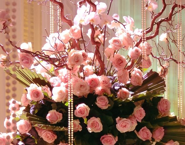 Fleurs et Couleurs