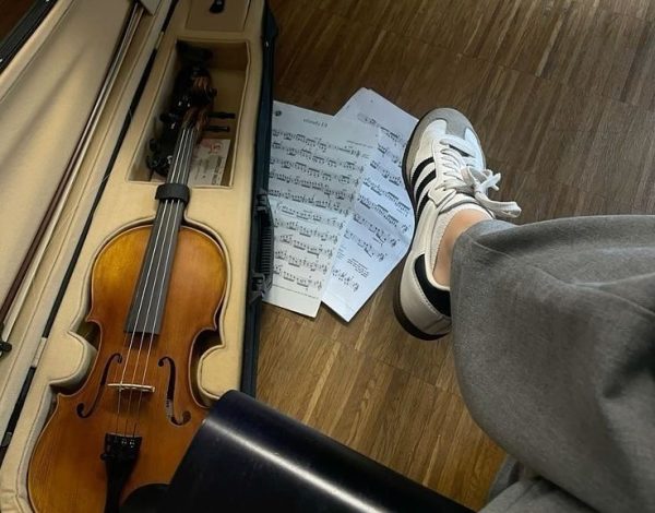 Alegria Violinist