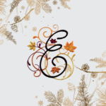 Wedd N Plan