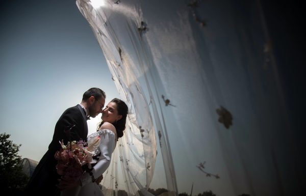 Joe Saliba Photography