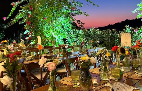Venues Category Vendor Gallery kampala