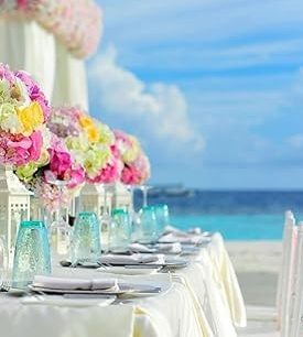 Wedd N Plan Listing Category Event Planner