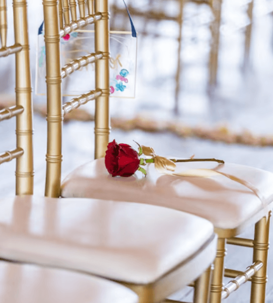 Wedd N Plan Listing Category Rentals